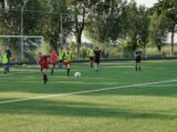 Training Schouwen-Duiveland Selectie Onder 13 & 14 op sportpark 'Het Springer' van maandag 5 juni 2023 (10/53)